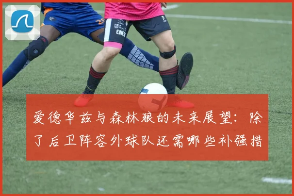 爱德华兹与森林狼的未来展望：除了后卫阵容外球队还需哪些补强措施